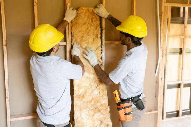 Eco-Friendly or Green Insulation Solutions in Thorntown, IN